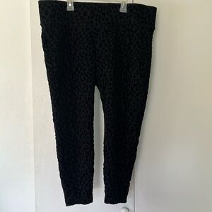 Torrid Size 1 Pixie Pant (Black/Velvet Leopard)